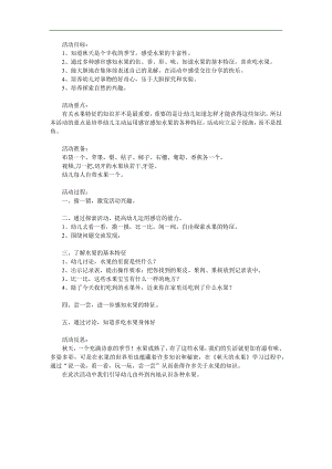 中班科学活动《天的水果》PPT课件教案参考教案.docx