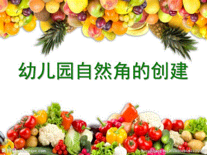 幼儿园自然角的创建PPT课件幼儿园自然角的创建.ppt