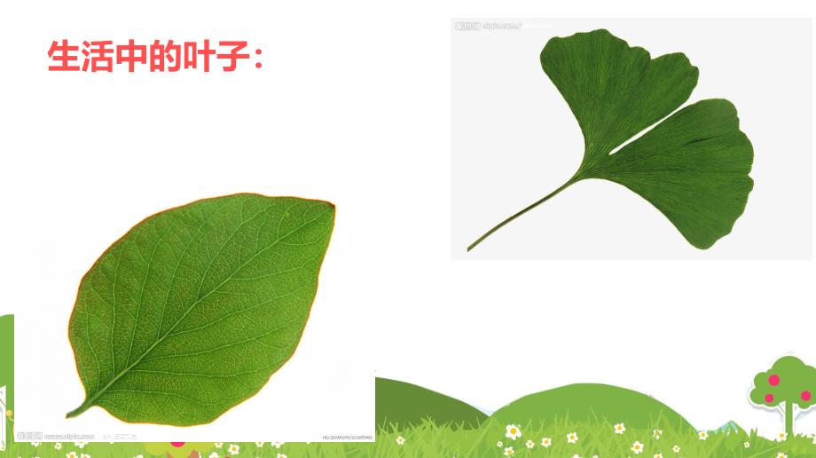 树叶拼贴画PPT课件教案图片大班树叶拼贴画.ppt_第2页