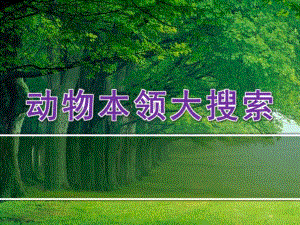 大班科学《动物本领大搜索》PPT课件教案动物本领大搜索.ppt