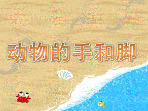 小班科学《动物的手和脚》PPT课件教案PPT课件.ppt