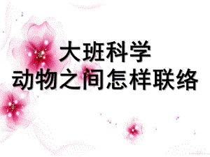 大班科学《动物之间的联络》PPT课件教案大班科学《动物之间怎样联络》.ppt