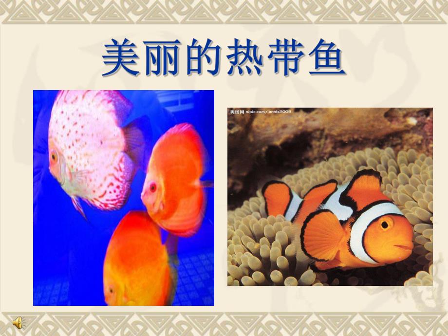 大班美术《报纸鱼》PPT课件教案PPT课件.ppt_第2页