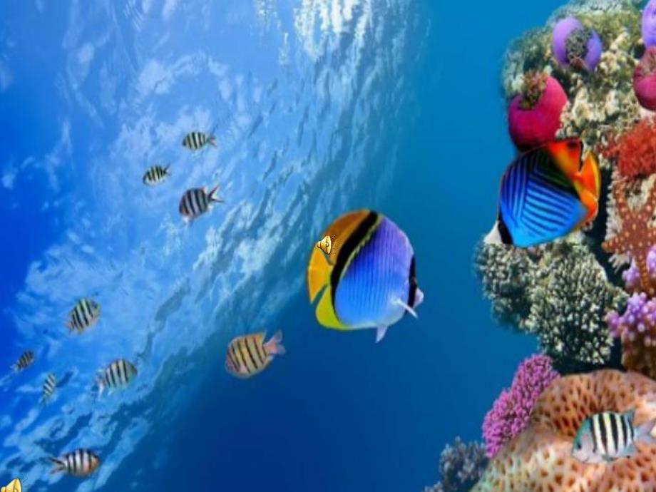 大班美术《报纸鱼》PPT课件教案PPT课件.ppt_第3页