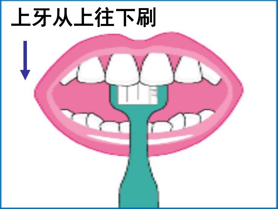 幼儿园健康活动《牙齿上的黑洞洞》PPT课件教案.ppt_第3页