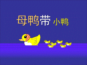 小班音乐《母鸭带小鸭》PPT课件教案母鸭带小鸭-课件.ppt