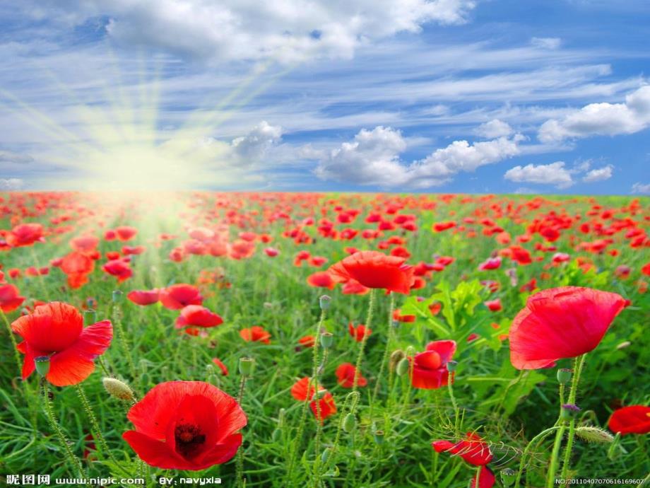 大班语言优质课《四季的礼物》PPT课件教案.ppt_第2页