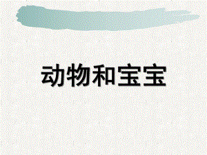 小班语言《动物宝宝和妈妈》PPT课件教案.ppt