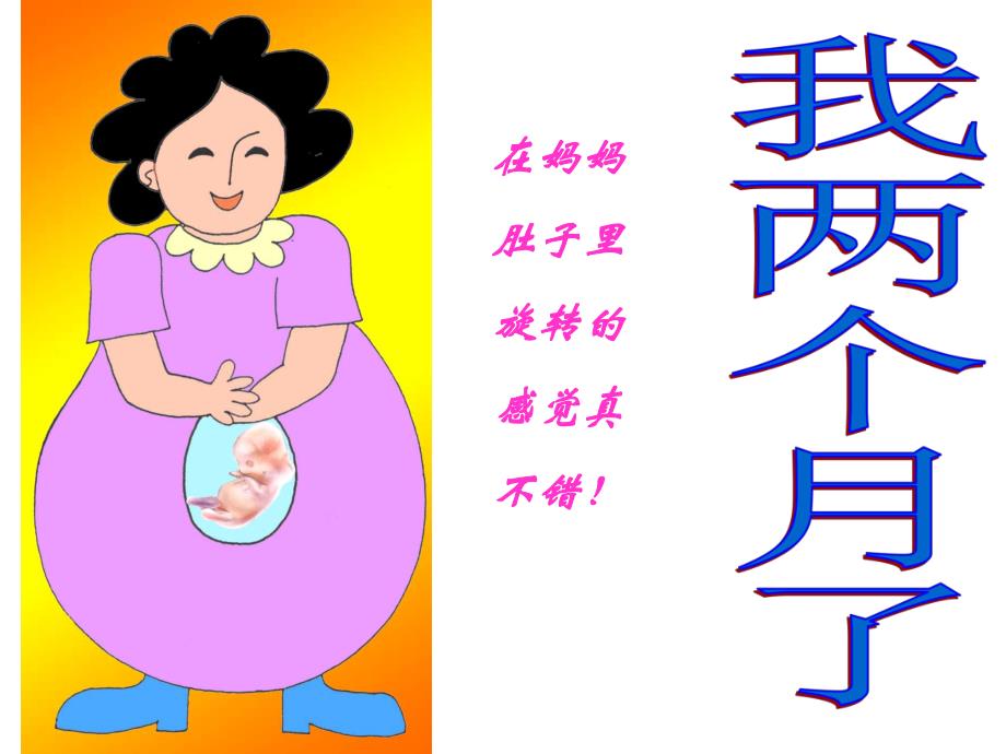 大班健康《在妈妈的肚子里》PPT在妈妈的肚子里.ppt_第3页