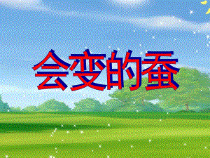 大班科学活动《会变的蚕》PPT课件教案.ppt