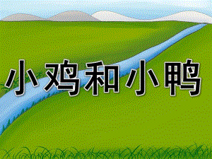 幼儿园《小鸡和小鸭》PPT课件教案PPT课件.ppt