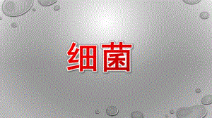 小班健康《细菌》PPT课件幼儿园--细菌.ppt