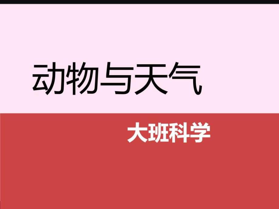 大班科学《动物与天气》PPT课件教案大班科学-动物与天气-图文..ppt_第1页