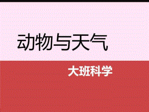 大班科学《动物与天气》PPT课件教案大班科学-动物与天气-图文..ppt