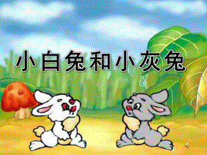 幼儿园《小白兔和小灰兔》PPT课件配音小白兔和小灰兔.ppt