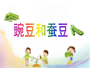 幼儿园儿歌《豌豆和蚕豆》PPT课件儿歌《豌豆和蚕豆》.ppt