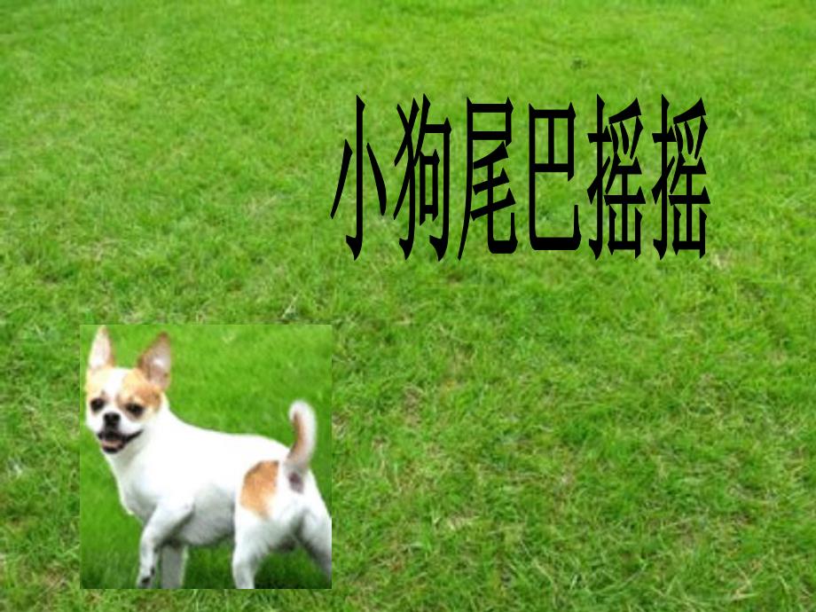 小班语言《狗尾巴草》PPT课件教案小班语言课件狗尾巴草.ppt_第2页