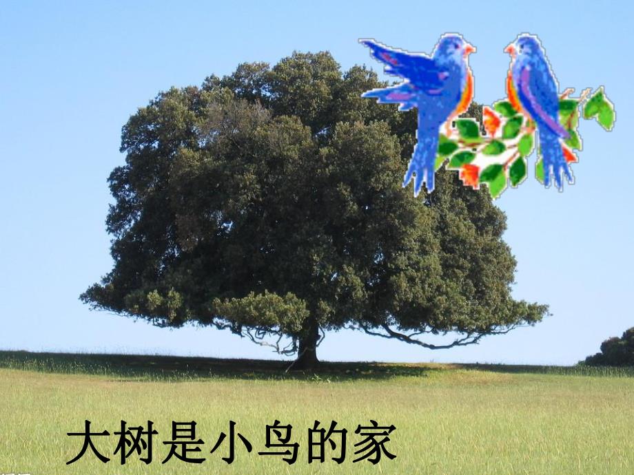 大班语言《儿歌我们的家》PPT课件大班语言：儿歌我们的家.ppt_第2页