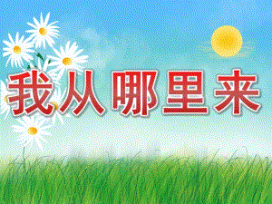 大班《我从哪里来》PPT课件教案PPT课件.ppt