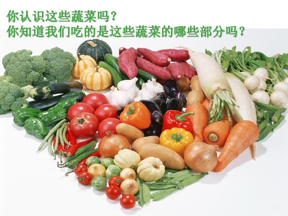 大班健康《蔬菜的食用部位》PPT课件教案大班健康课件《蔬菜的食用部位》PPT课件.ppt_第3页