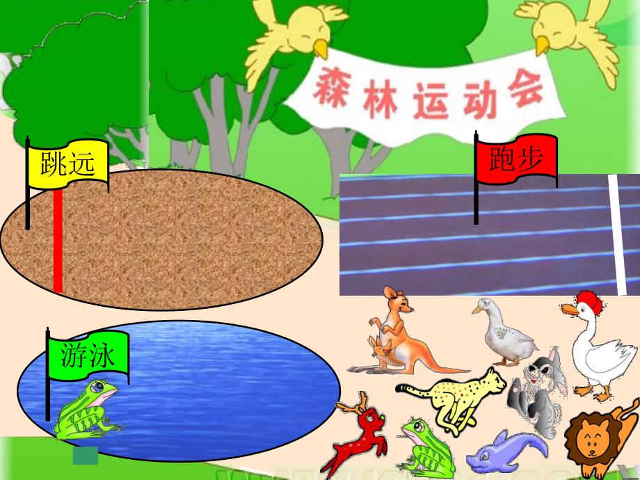 大班数学《森林运动会》PPT课件教案幼儿园大班数学课件ppt动物运动会.ppt_第2页
