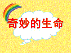 大班科学活动《奇妙的生命》PPT课件教案视频PPT课件.ppt