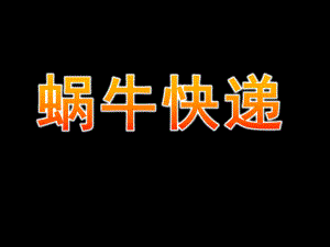 大班故事《蜗牛快递》PPT课件教案蜗牛快递PPT.ppt