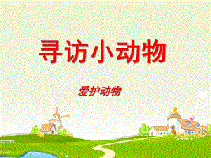 幼儿园《寻访小动物爱护动物》PPT课件.ppt
