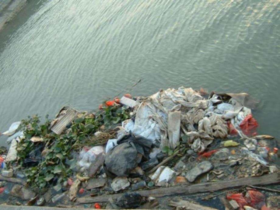 大班科学《鱼宝宝生病了》PPT课件教案五月-大班科学：鱼宝宝生病了.ppt_第3页