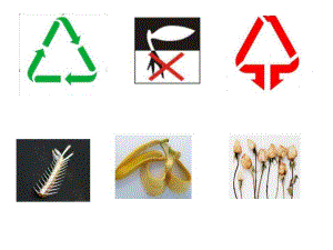 大班社会《垃圾桶的愿望》PPT课件教案垃圾分类教具图片.ppt