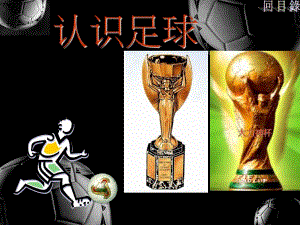 幼儿园足球训练基础知识PPT课件幼儿足球训练基础知识足球【1】PPT.ppt