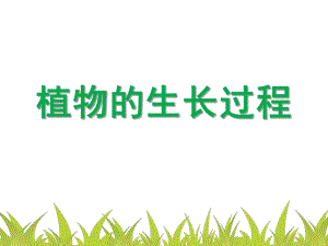 幼儿园植物的生长过程PPT课件教案幼儿园植物.ppt