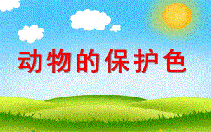 大班科学《动物的保护色》PPT课件教案动物的保护色.ppt