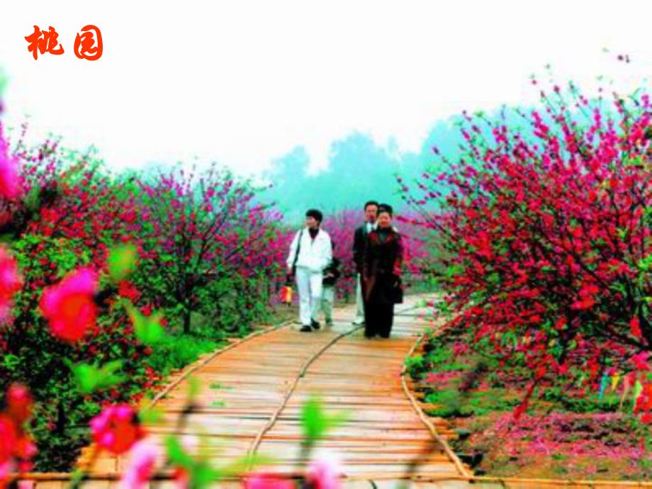 大班科学活动《可怕的白色污染》PPT课件大班科学活动《可怕的白色污染》PPT课件.ppt_第3页