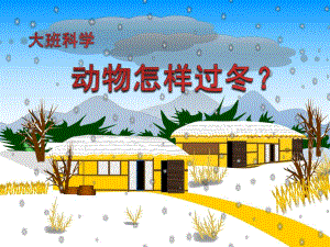大班科学活动《动物怎样过冬？》PPT课件小动物过冬.ppt