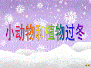 大班科学活动《小动物和植物过冬》PPT课件配音大班科学活动ppt课件：小动物和植物过冬.ppt