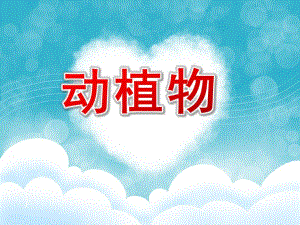 大班科学《动植物》PPT课件大班科学《动植物》PPT课件.ppt
