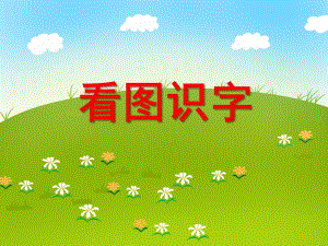 大班语言《看图识字》PPT课件大班语言《看图识字》PPT课件.ppt