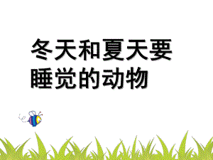 大班科学《冬天和夏天要睡觉的动物》PPT课件大班科学--冬天和夏天要睡觉的动物.ppt