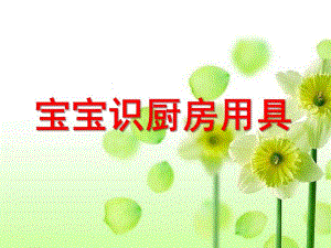 小班《宝宝识厨房用具》PPT课件ppt课件.ppt