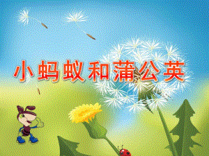 幼儿园看图讲述《小蚂蚁和蒲公英》PPT课件教案看图讲述：小蚂蚁和蒲公英.ppt