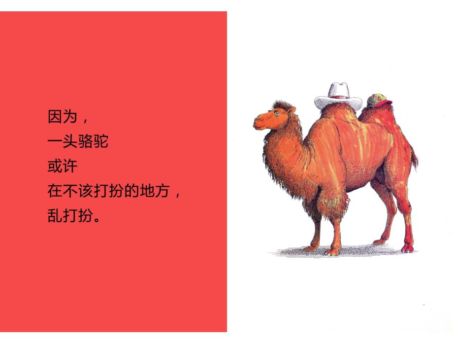 大班语言大班绘本阅读《动物绝对不应该穿衣服》多版课件PPT+教案+音乐赠视频动物绝对不能穿衣服.ppt_第3页