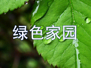 大班社会《绿色家园》PPT课件教案绿色家园PPT.ppt