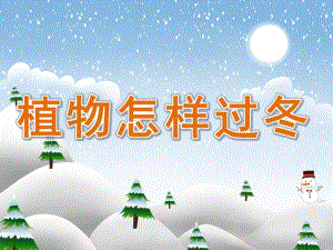 大班科学《植物怎样过冬》PPT课件教案PPT课件.ppt
