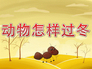 大班社会《动物怎样过冬》PPT课件教案PPT课件.ppt