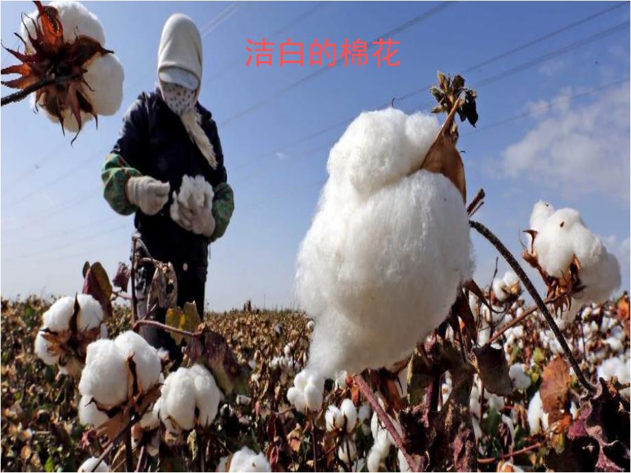 大班科学《天的色彩》PPT课件教案大班科学：天的色彩.ppt_第3页