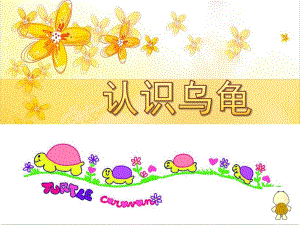 小班科学活动《认识乌龟》PPT课件教案科学教案小班认识小乌龟ppt课件.ppt