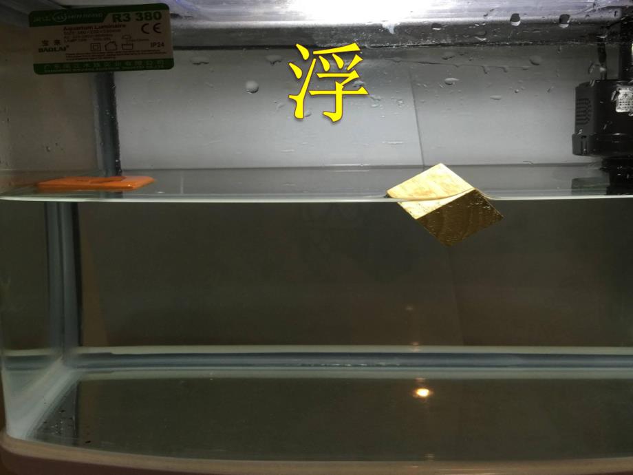 大班科学优质课《沉与浮》PPT课件教案PPT课件.ppt_第3页