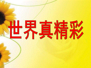 大班社会《世界真精彩》PPTppt课件.ppt