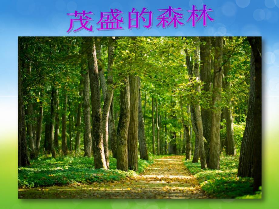 幼儿园植树节主题方案PPT课件幼儿园植树节主题方案PPT课件.ppt_第2页